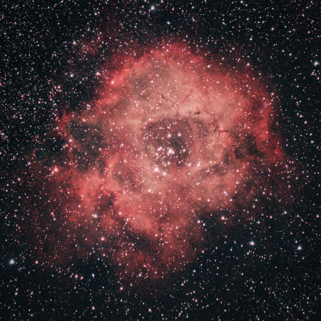 A photo of the Rosette/Skull nebula.